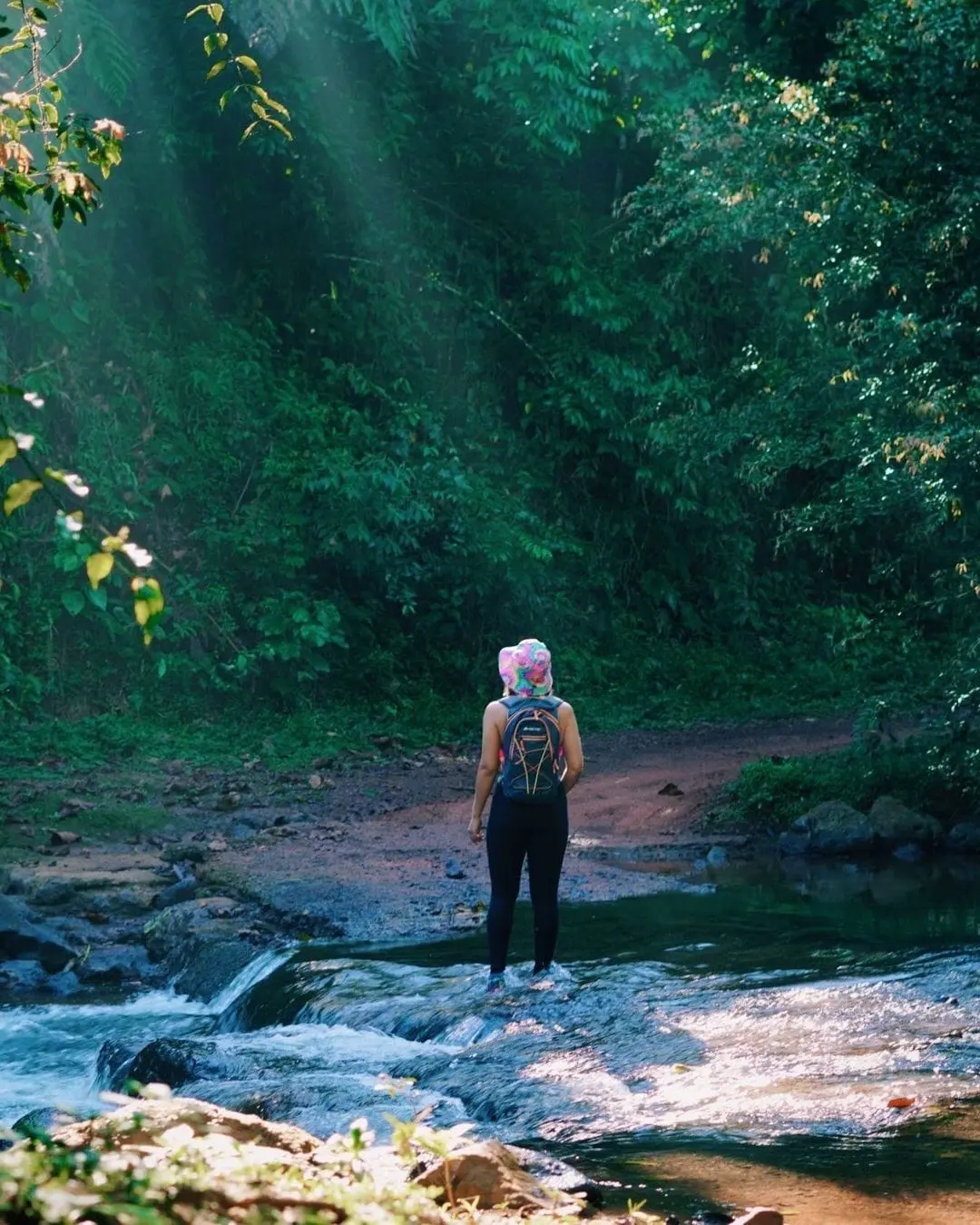 Forest trail to Bijagual Waterfall — rainforest hike near Jaco Costa Rica