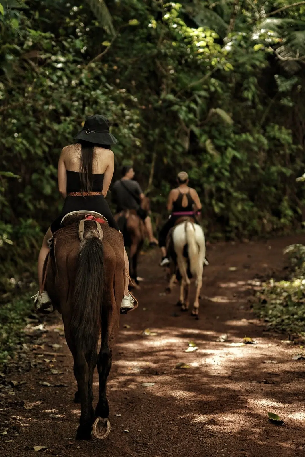 Horseback riding tour to Bijagual Waterfall — mountain trails near Jaco Costa Rica