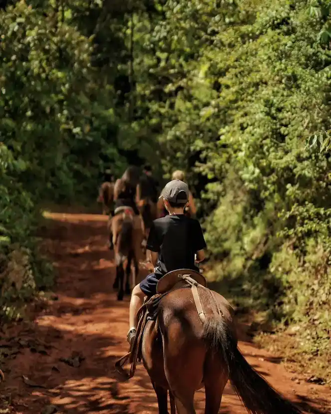 Bijagual Waterfall Horseback Riding Tour — mountain trails near Jaco Costa Rica