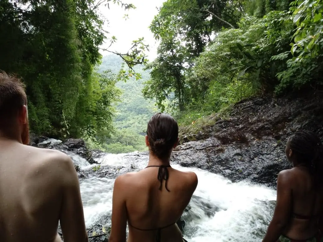 Tropical rainforest and wildlife at Bijagual Waterfall near Jaco Costa Rica